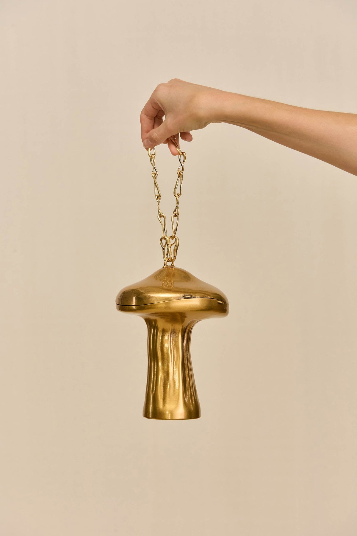 Cult Gaia Fungo Clutch – Brushed Brass – detail 3